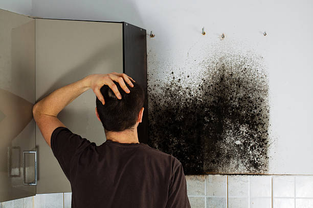 Best Mold Cleaning Services  in Travelers Rest, SC